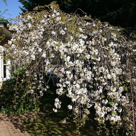 Villa Carawatha Gardens Bright Esterno foto