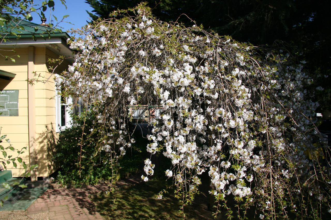 Villa Carawatha Gardens Bright Esterno foto
