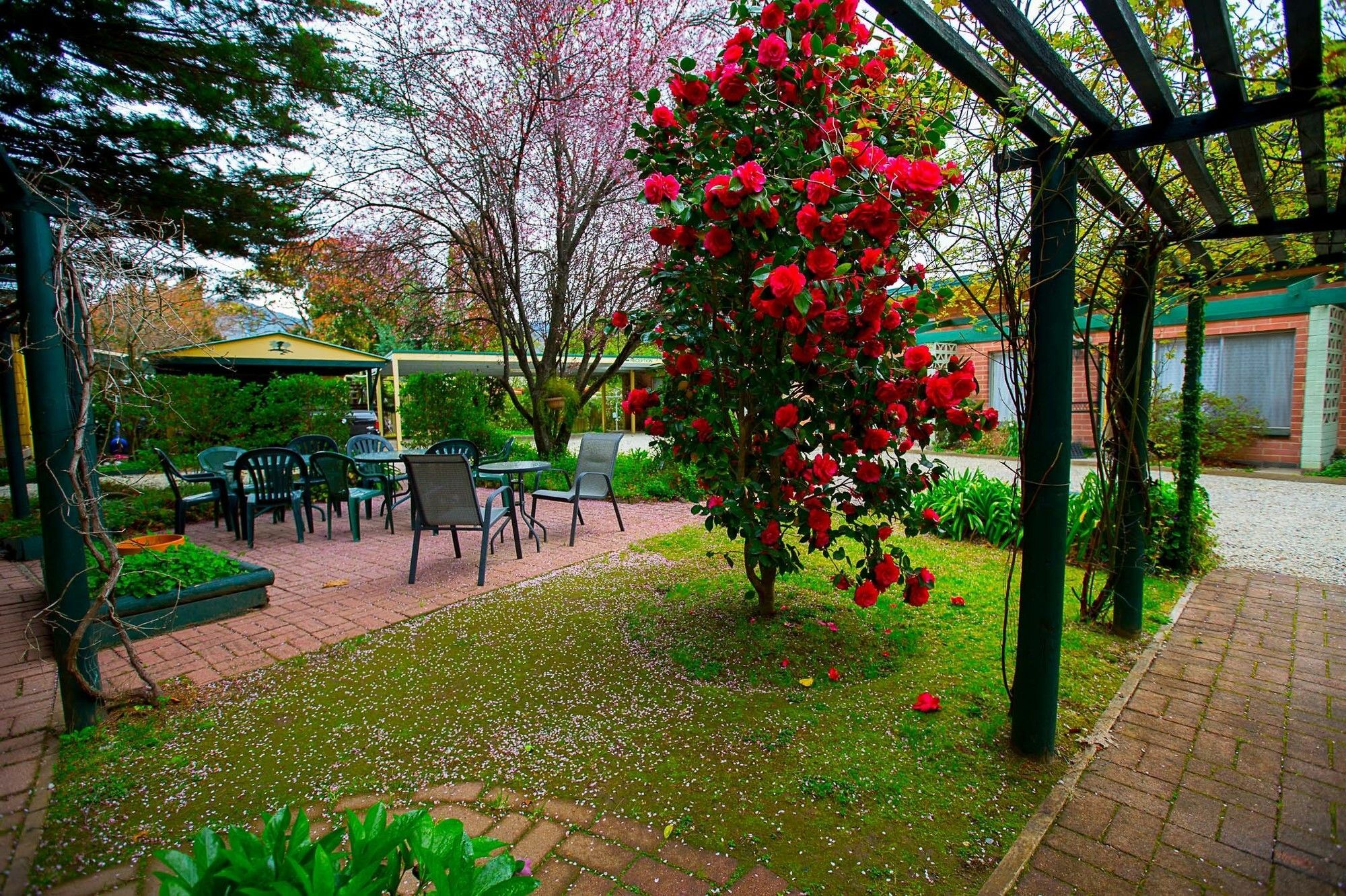 Villa Carawatha Gardens Bright Esterno foto